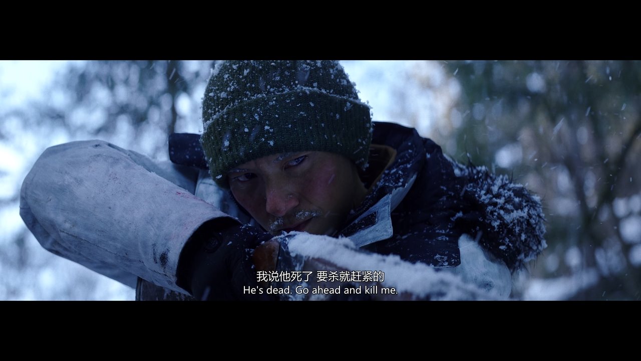 [BT下载][雪暴][WebDL-720p.MP4/2.02GB][国语][张震倪妮廖凡2019新动作悬疑犯罪]